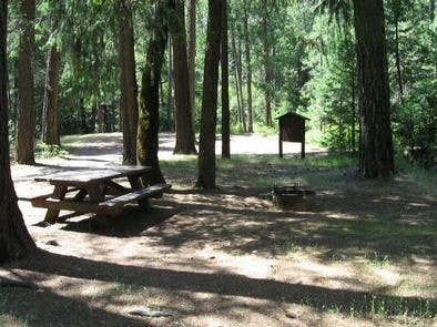 Camper submitted image from Tahoe National Forest Ramshorn Campground - 3