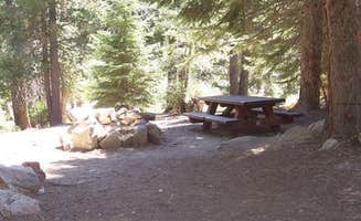 The Dyrt's photo at Redwood Meadow near Sunland, CA