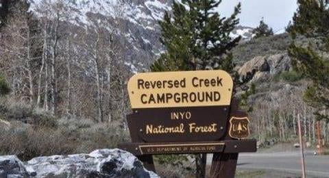 Camper submitted image from Reversed Creek Campground - 5