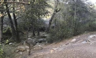 Camping near Thorn Meadows Campground: Reyes Creek Campground, Pine Mountain Club, California