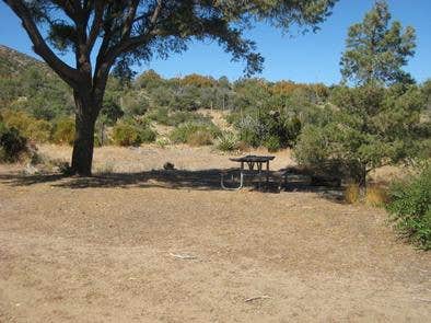 Camper submitted image from Ribbonwood Equestrian Campground - 2