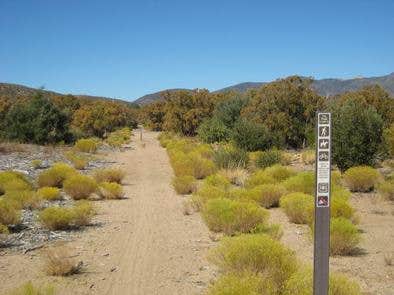 Camper submitted image from Ribbonwood Equestrian Campground - 4