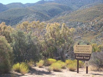 Camper submitted image from Ribbonwood Equestrian Campground - 3