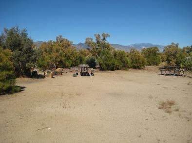 Camper submitted image from Ribbonwood Equestrian Campground - 5