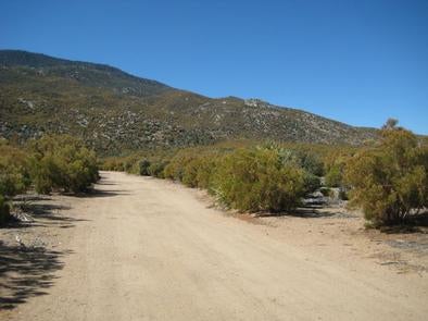 Camper submitted image from Ribbonwood Equestrian Campground - 1