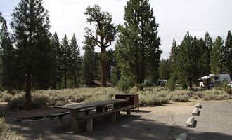Camping near Toiyabe National Forest Crags Campground: Robinson Creek South, Bridgeport, California