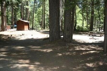 Camper submitted image from Rock Creek (sierra Natl Fores) - 4