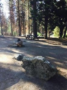 Camper submitted image from Rock Creek (sierra Natl Fores) - 1