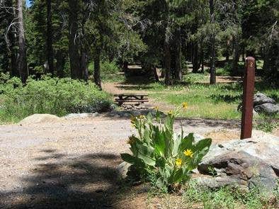 Camper-submitted photo at Tahoe National Forest Salmon Creek Campground near Graeagle, CA