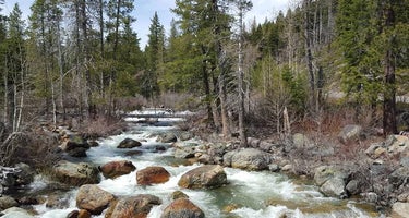 Salmon Creek