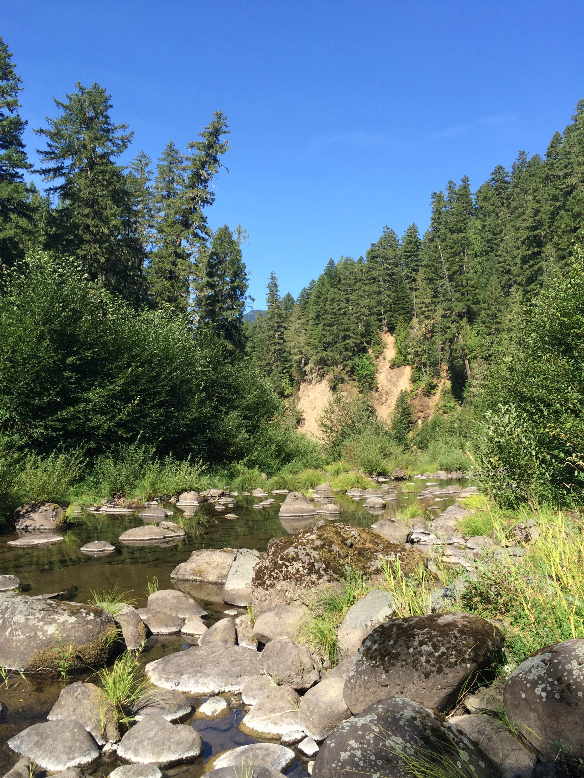 Camper submitted image from Rainbow (OR) - TEMP CLOSED - 2