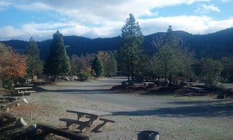 Camping near Boulder Creek RV Redding: Shasta Campground, Shasta Lake, California