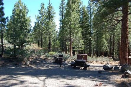 Camper submitted image from Sherwin Creek - 2