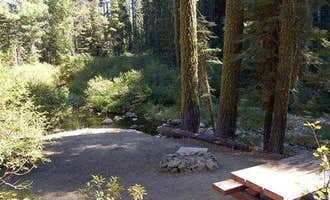 Camping near Chapman: Tahoe National Forest Sierra Campground, Sierra City, California
