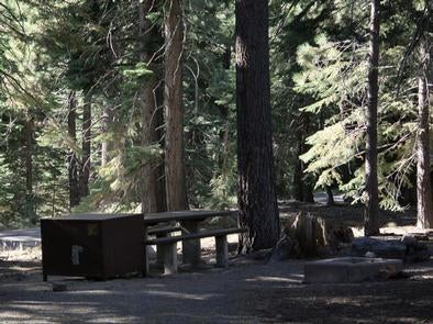 Camper submitted image from Toiyabe National Forest Silver Creek Campground - 2