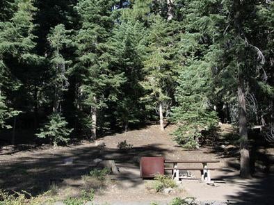 Camper submitted image from Toiyabe National Forest Silver Creek Campground - 3