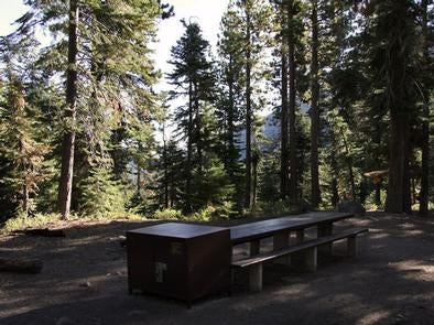 Camper submitted image from Toiyabe National Forest Silver Creek Campground - 1