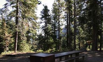 Camping near Lower Blue Lake Campground: Toiyabe National Forest Silver Creek Campground, Markleeville, California