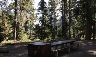 Camping near Wet Meadows Reservoir: Toiyabe National Forest Silver Creek Campground, Markleeville, California
