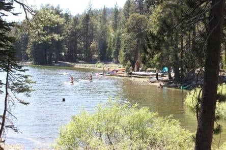 Camper submitted image from (lake Alpine) Silver Tip Campground - 2