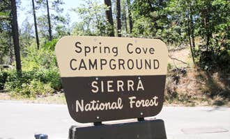 Camping near High Sierra RV Park: Spring Cove Campground, Wishon, California