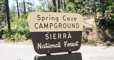 Spring Cove Campground 