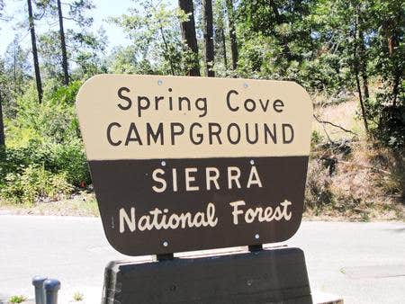 Camper submitted image from Spring Cove Campground - 2