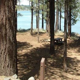 Plumas National Forest Spring Creek Campground