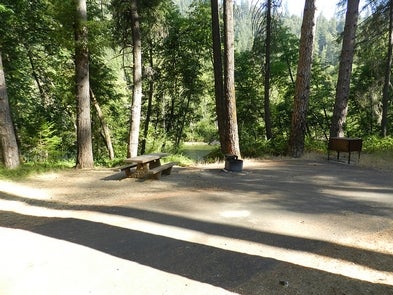 Camper submitted image from Steel Bridge Campground - 1