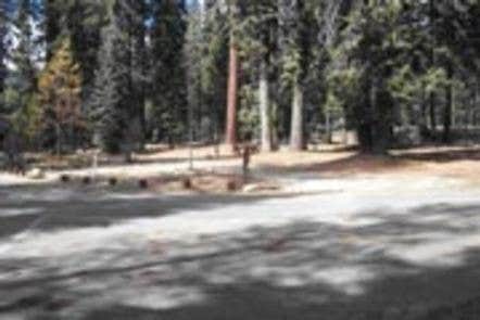 Camper submitted image from Stony Creek Campground - Sequoia National Forest - 1