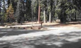 Camping near Dorst Creek Campground — Sequoia National Park: Upper Stony Creek Campground, Hartland, California