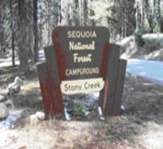 Camper-submitted photo from Visalia-Sequoia National Park KOA