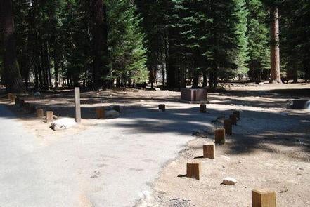 Camper submitted image from Stony Creek Campground - Sequoia National Forest - 4
