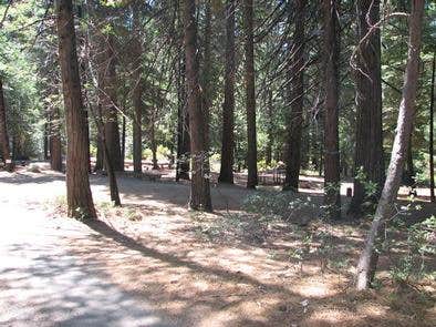 Camper submitted image from Stumpy Meadows - 3