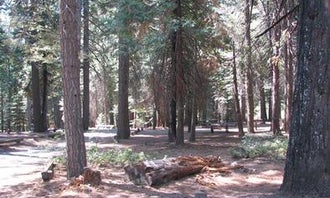 Camping near Uncle Tom's Cabin Campground: Stumpy Meadows, Pollock Pines, California