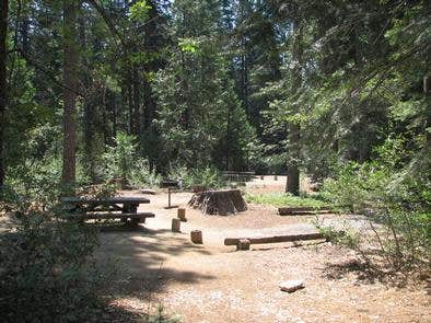 Camper submitted image from Stumpy Meadows - 5