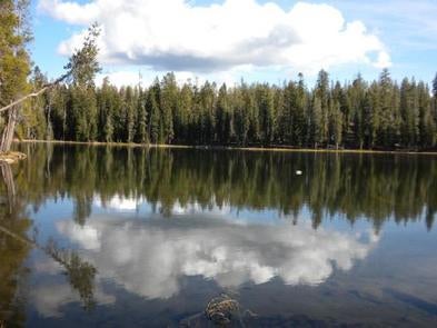 Camper submitted image from Summit Lake South — Lassen Volcanic National Park - 1