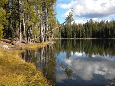 Camper submitted image from Summit Lake South — Lassen Volcanic National Park - 4