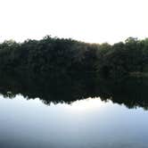 Review photo of Rock Cut State Park - Staghorn Campground by Matt S., September 11, 2016