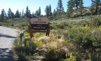 Camping near Lakeview Ranch: Tuff Campground, Toms Place, California