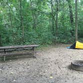 Review photo of Lake Kegonsa State Park Campground by Matt S., September 11, 2016