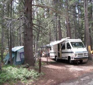 Camper-submitted photo from Goat Meadow - Dispersed Camp Site