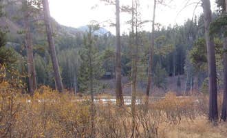 Camping near Lake George Campground: Twin Lakes Campground, Mammoth Lakes, California