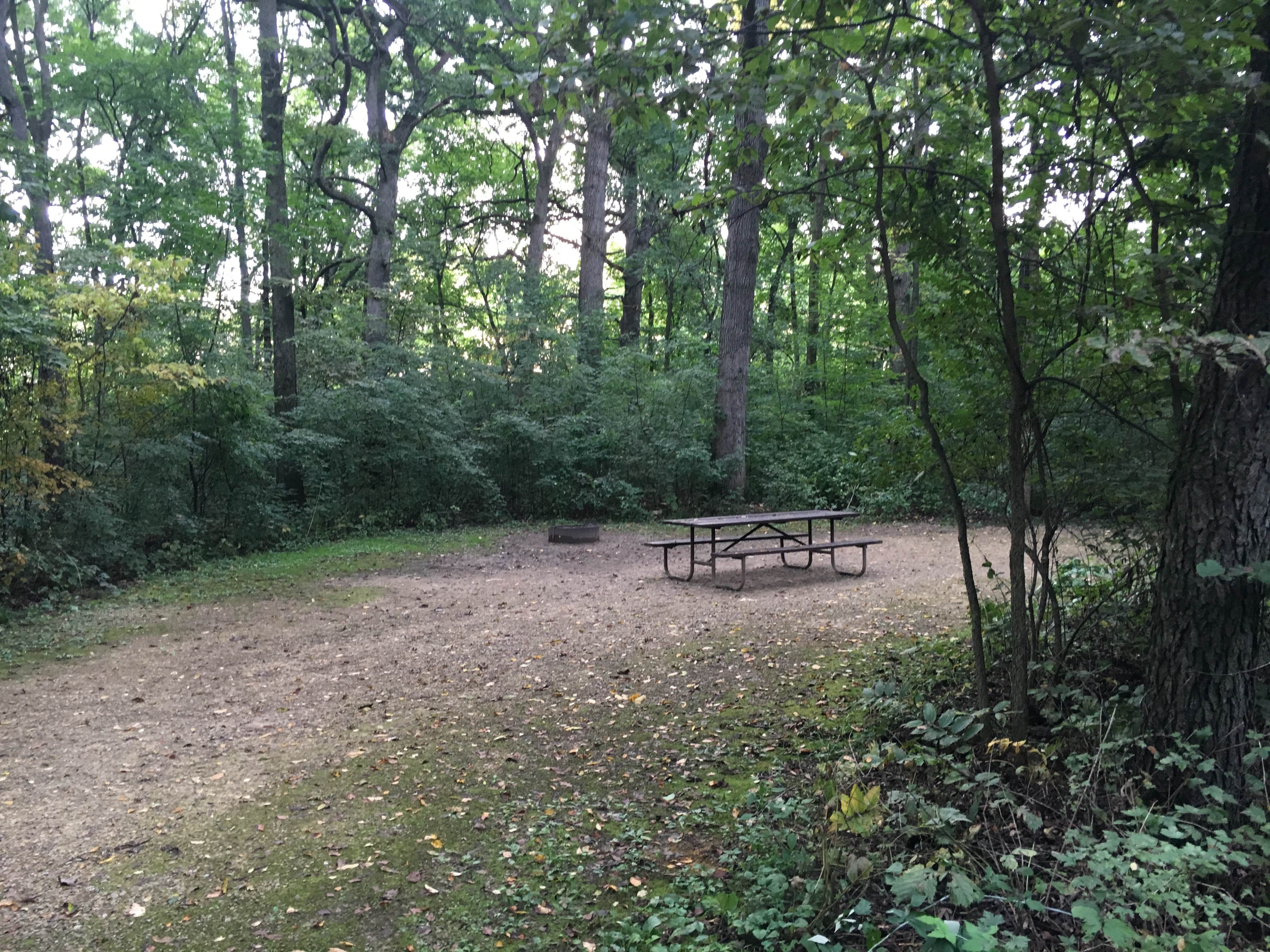 Camper submitted image from Lake Kegonsa State Park Campground - 4
