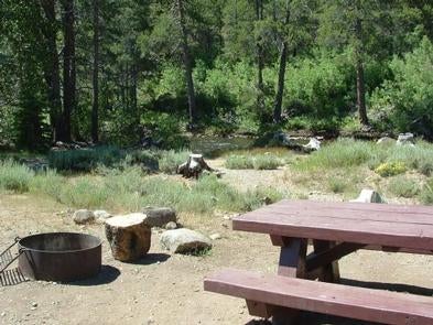 Camper submitted image from Upper Little Truckee - 1