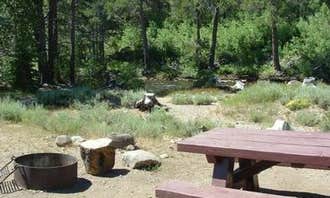 Camping near Cottonwood Campground: Upper Little Truckee, Sierraville, California