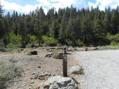 Camper submitted image from Upper Little Truckee - 5