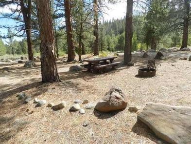 Camper submitted image from Upper Little Truckee - 2