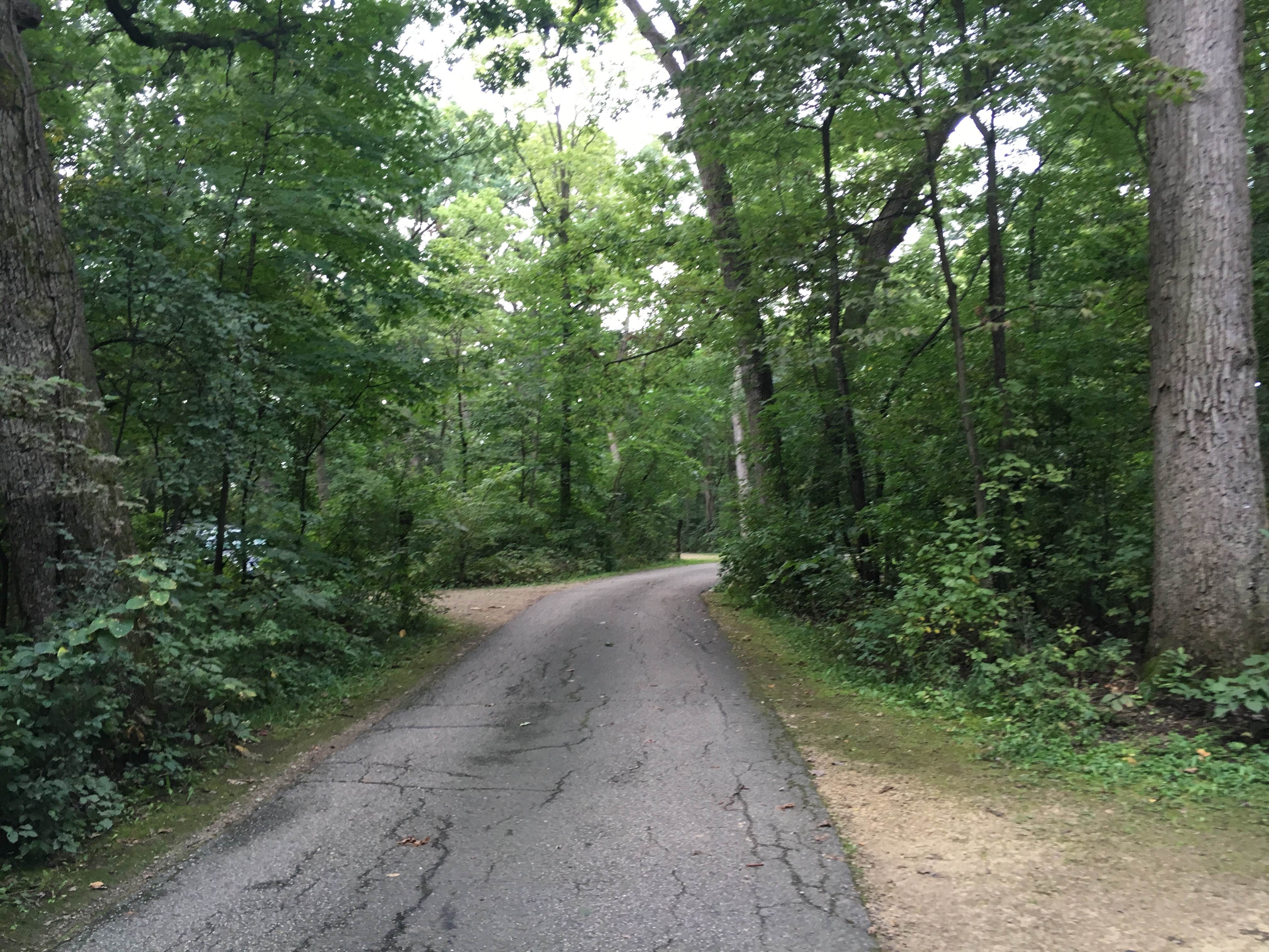Camper submitted image from Lake Kegonsa State Park Campground - 3