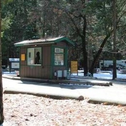 Public Campgrounds: Upper Pines Campground — Yosemite National Park